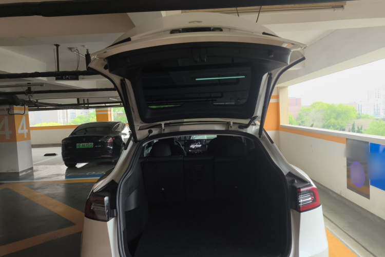 Tesla Model Y 2023 #19 Tesla Model Y 2023 car image #19
