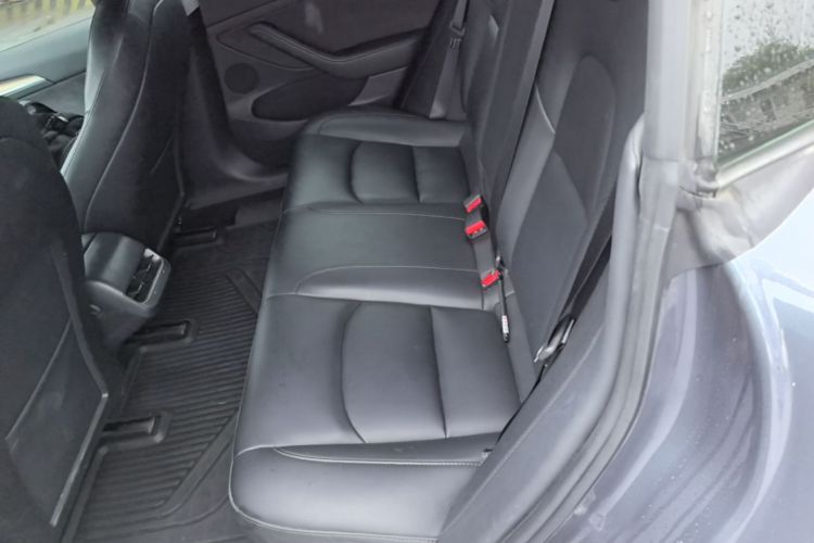 Tesla Model 3 2021 car image #13