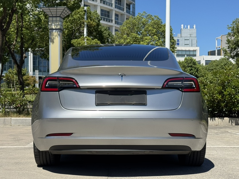 Tesla Model 3 2020 #4 Tesla Model 3 2020 car image #4
