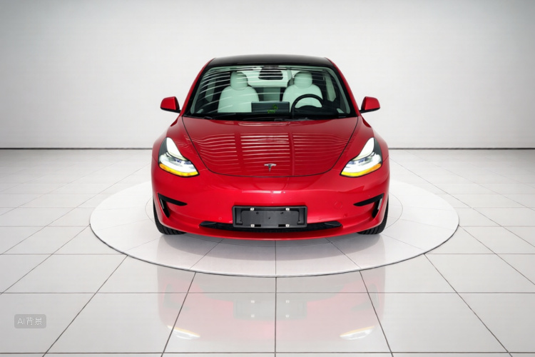 Tesla Model 3 2022 #3 Tesla Model 3 2022 car image #3