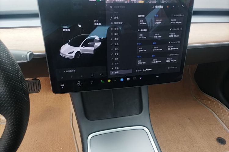 Tesla Model 3 2021 #17 Tesla Model 3 2021 car image #17