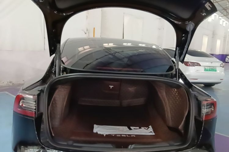 Tesla Model 3 2022 car image #19