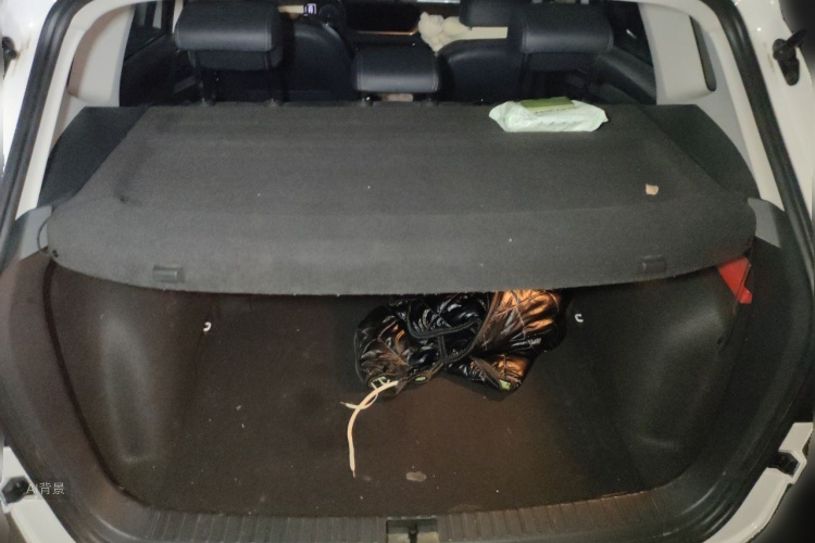 Volkswagen Tharu 2021 car image #21