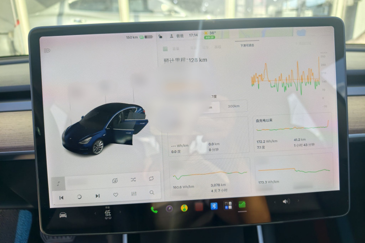Tesla Model 3 2020 car image #10