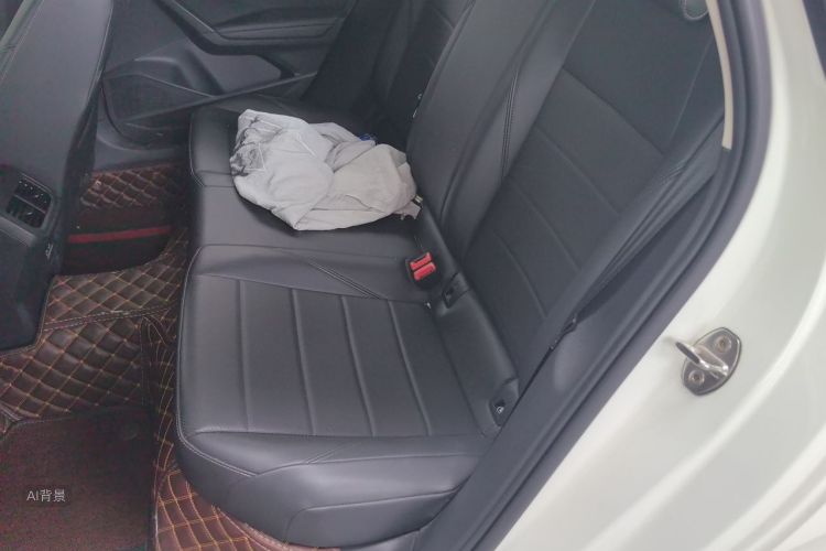 Volkswagen Lavida 2019 car image #19
