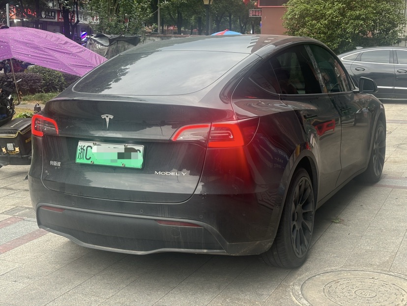Tesla Model Y 2024 car image #9