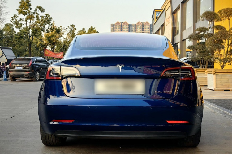 Tesla Model 3 2019 #7 Tesla Model 3 2019 car image #7