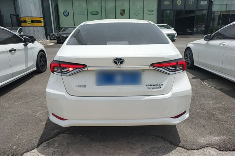 Toyota Corolla 2023 #6 Toyota Corolla 2023 car image #6