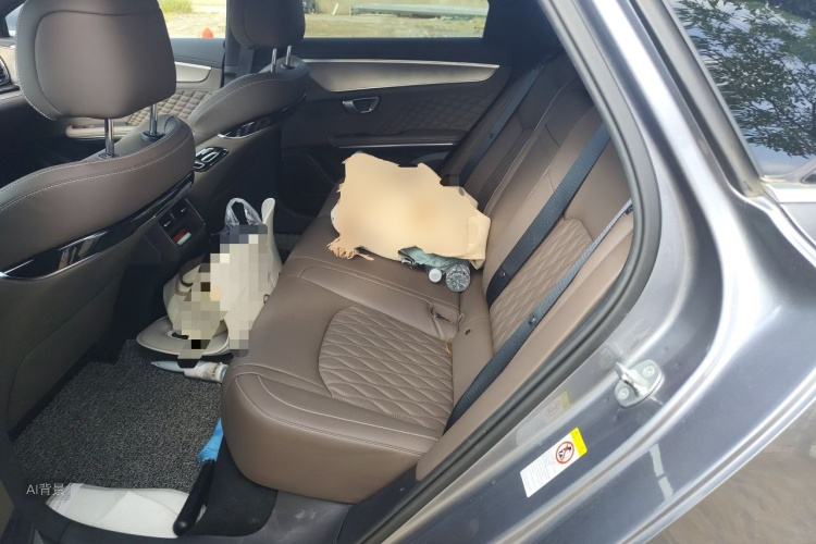 BYD Han 2022 #19 BYD Han 2022 imagen de coche #19
