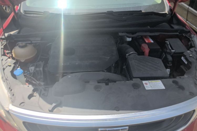 GEELY Emgrand GS 2020 car image #20