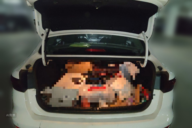 GEELY Emgrand 2022 #21 GEELY Emgrand 2022 car image #21