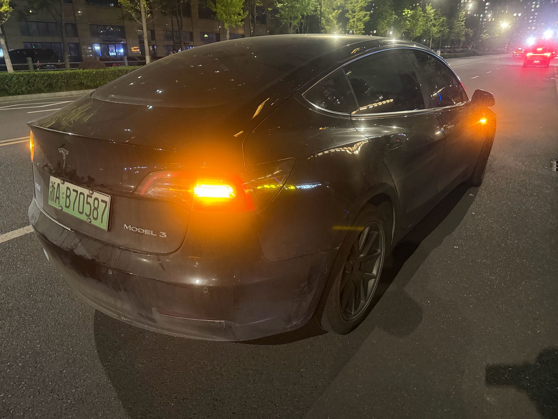 Tesla Model 3 2023 #5 Tesla Model 3 2023 car image #5