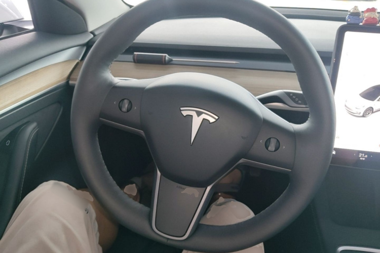 Tesla Model 3 2023 car image #11