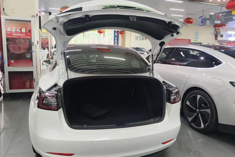 Tesla Model 3 2020 #19 Tesla Model 3 2020 car image #19