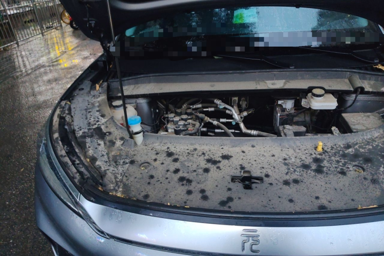 BYD Yuan Plus 2023 car image #28