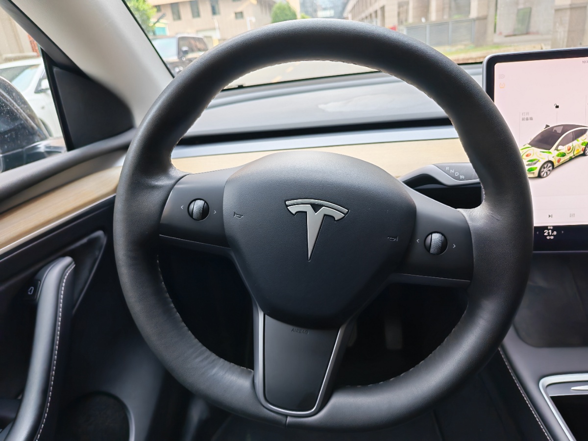 Tesla Model Y 2021 car image #15