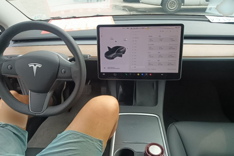 Tesla Model 3 2021 #11 Tesla Model 3 2021 car image #11