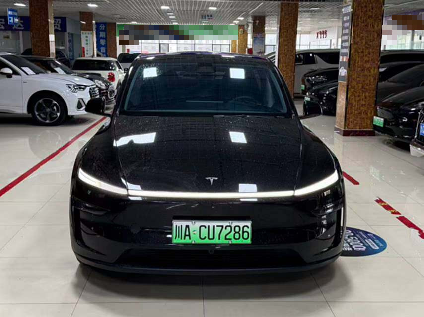 Tesla Model Y 2025 car image #4
