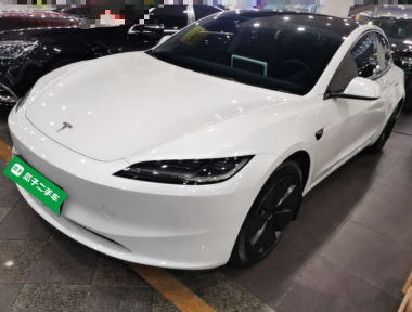 Tesla Model 3 2024 car image 