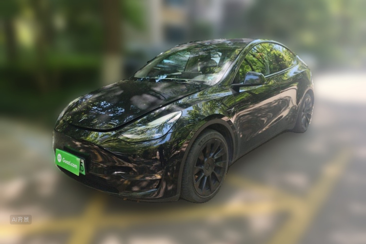 Tesla Model Y 2021 car image #2