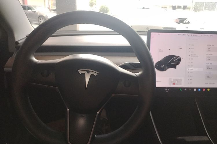 Tesla Model 3 2020 car image #15
