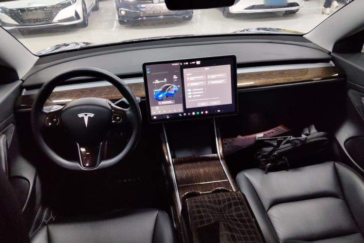 Tesla Model 3 2020 car image #10