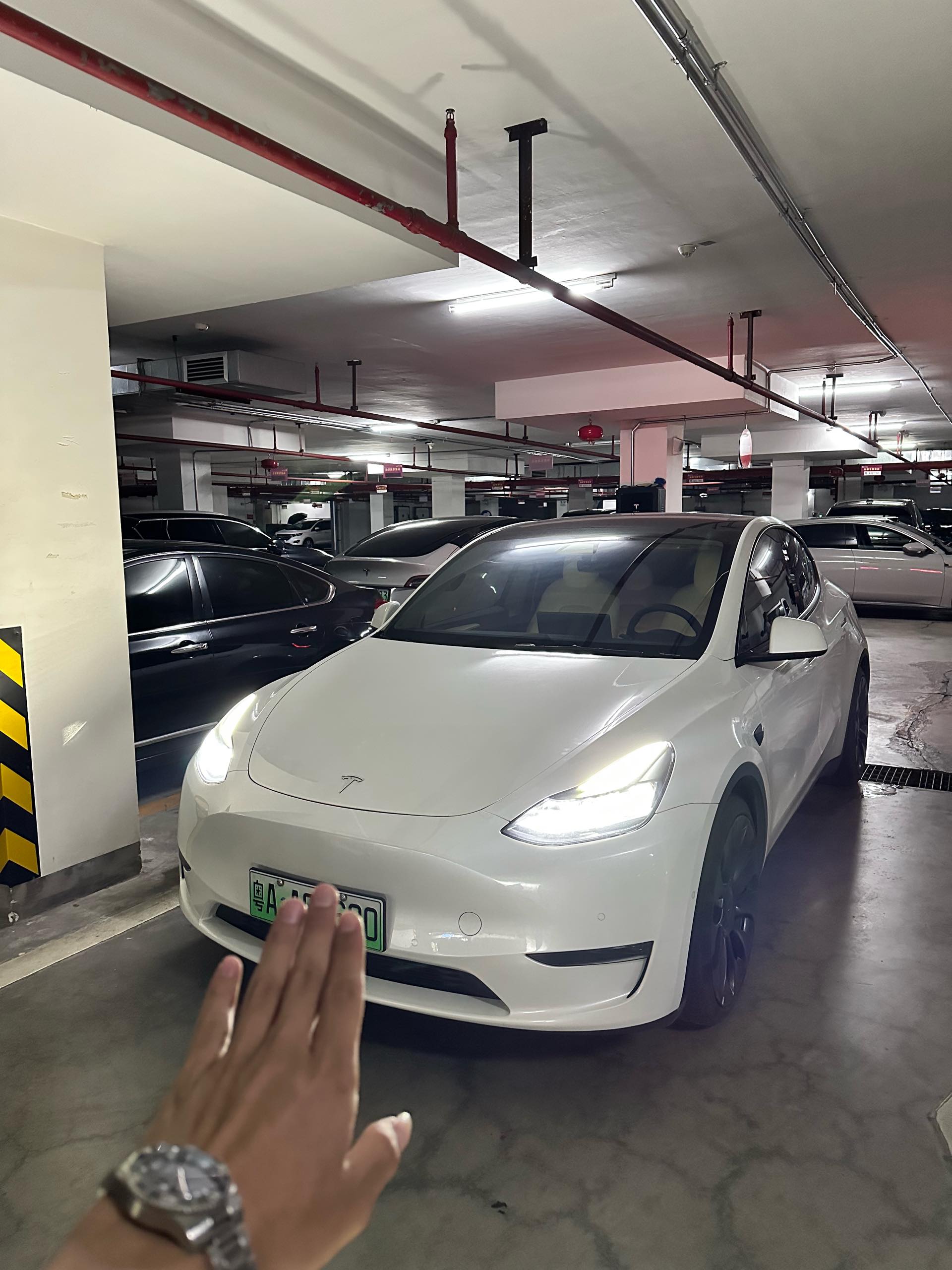 Tesla Model Y 2022 Tesla Model Y 2022 car image