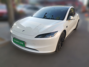 Tesla Model 3 2024 Tesla Model 3 2024 car image