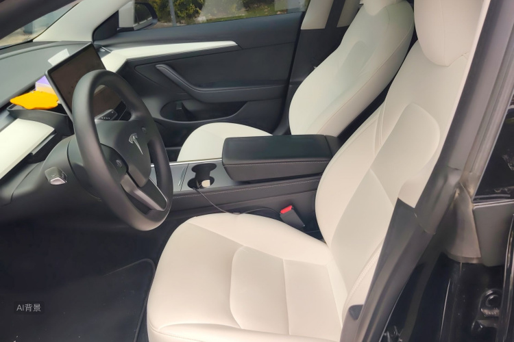 Tesla Model 3 2022 immagine di auto #17
