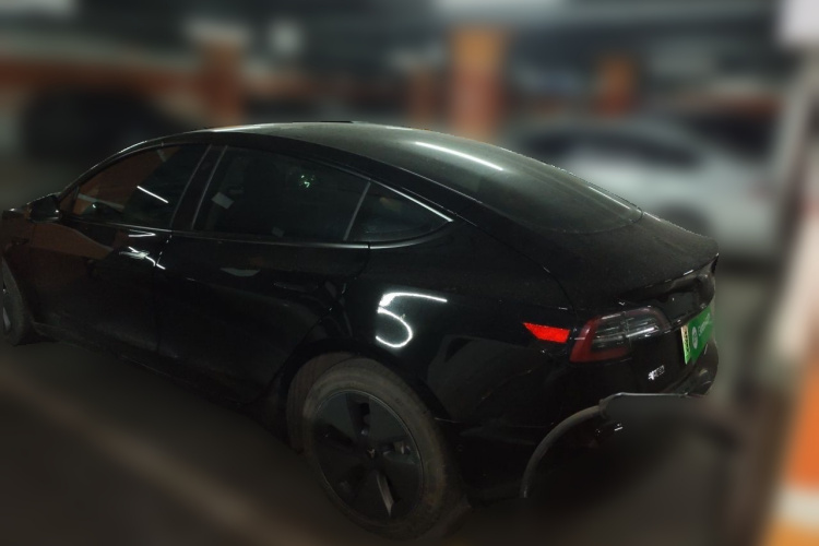 Tesla Model 3 2021 #5 Tesla Model 3 2021 car image #5