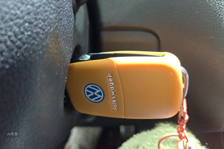 Volkswagen Polo 2016 car image #10