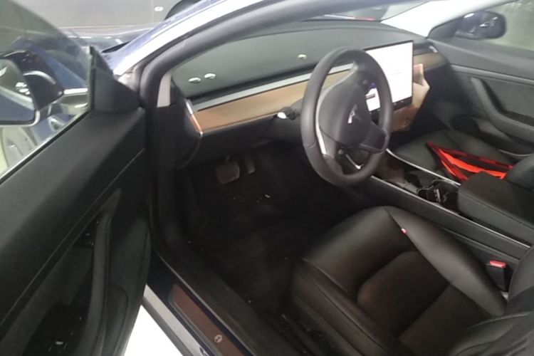 Tesla Model 3 2020 car image #16