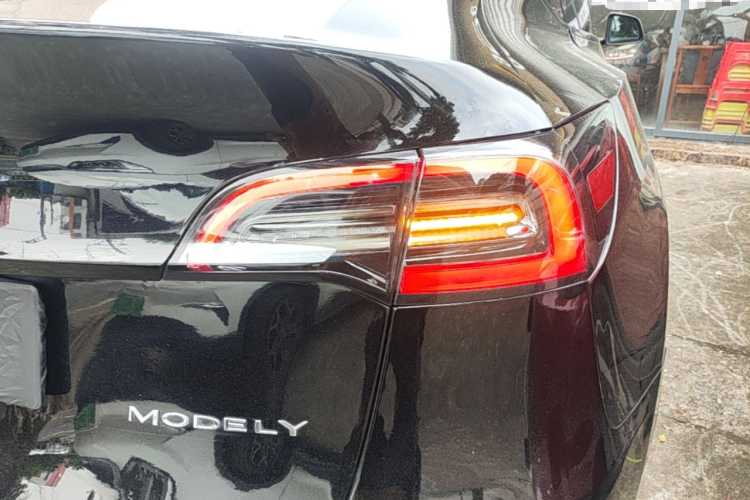 Tesla Model Y 2021 #8 Tesla Model Y 2021 car image #8