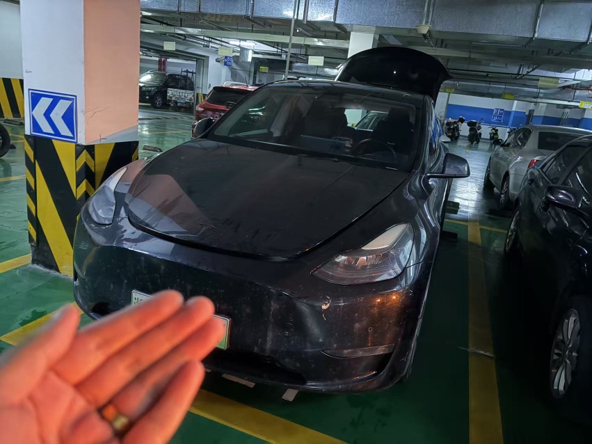 Tesla Model Y 2021 Tesla Model Y 2021 car image