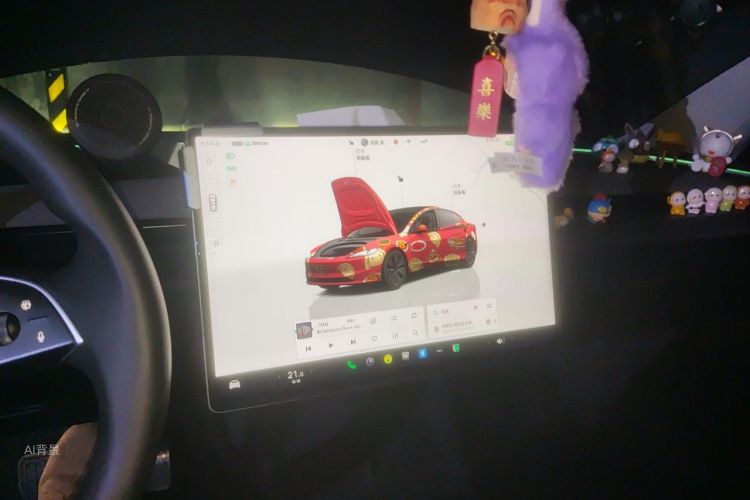 Tesla Model 3 2023 car image #13