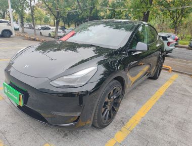 Tesla Model Y 2023 Tesla Model Y 2023 car image