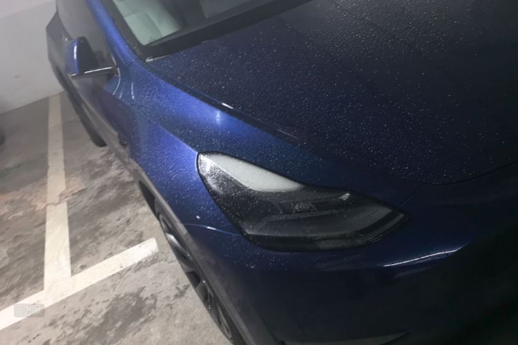 Tesla Model Y 2021 #8 Tesla Model Y 2021 car image #8