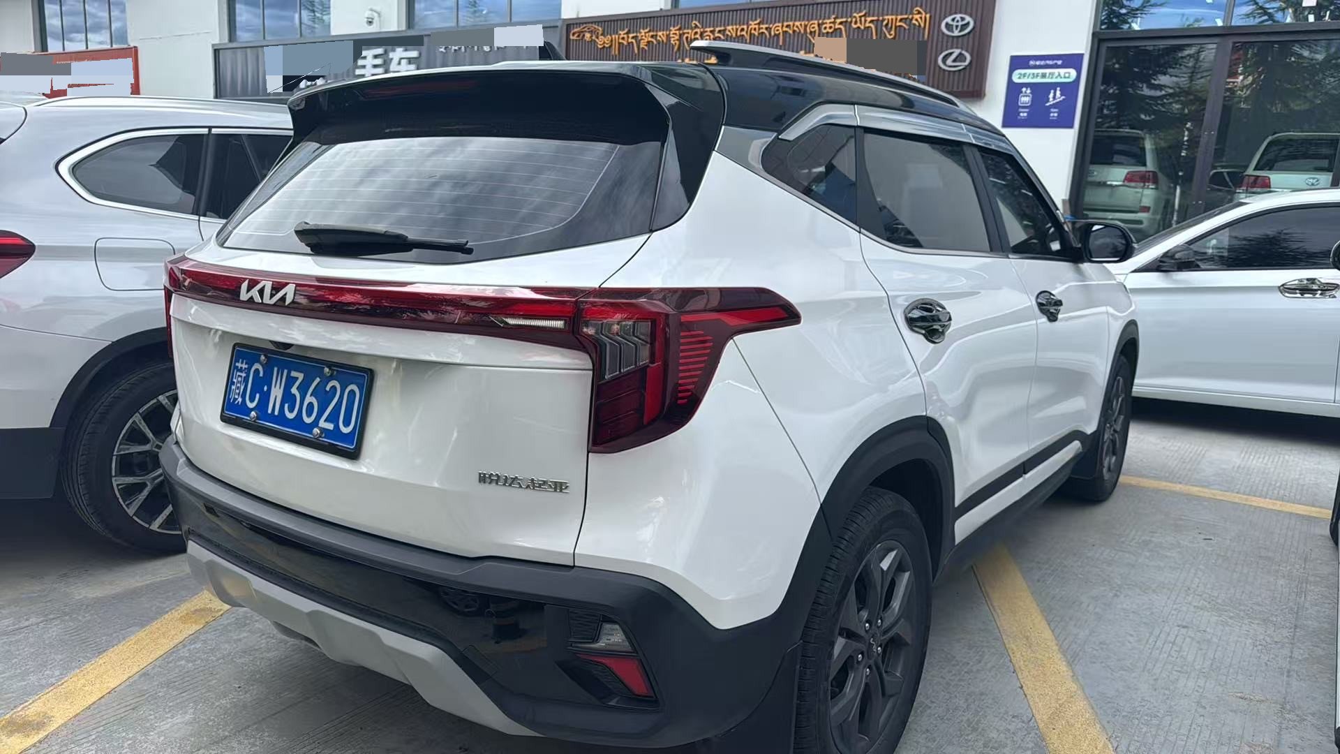 Kia Seltos 2023 imagem de carro #3