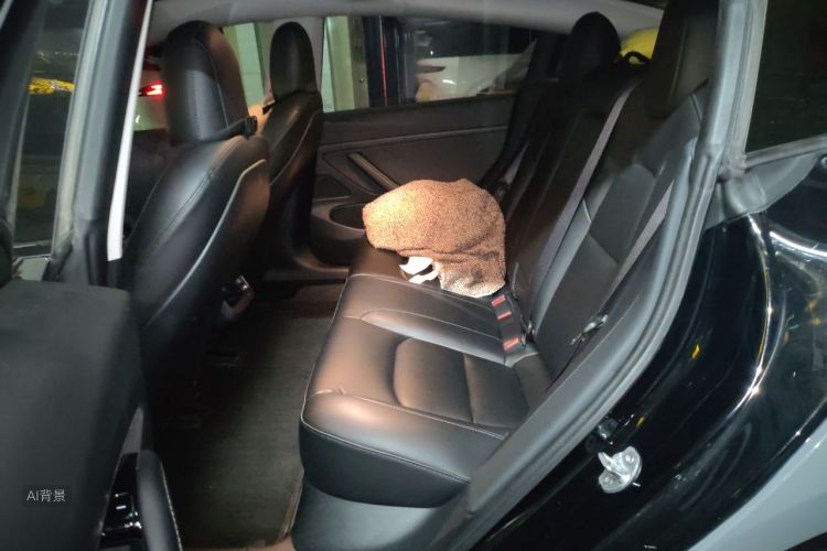 Tesla Model 3 2020 #19 Tesla Model 3 2020 car image #19