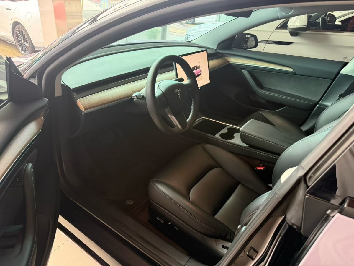 Tesla Model 3 2022 car image #6