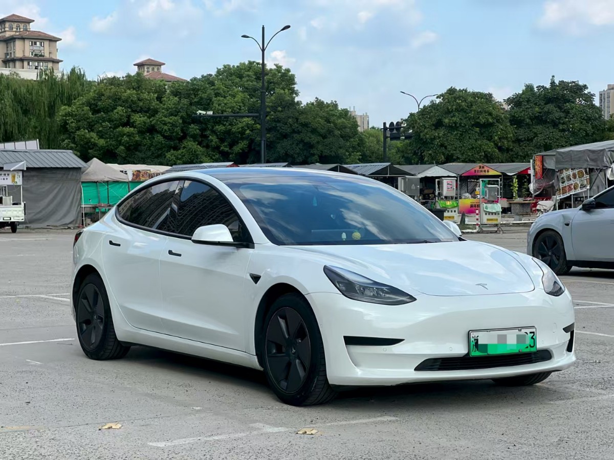 Tesla Model 3 2022 #3 Tesla Model 3 2022 car image #3