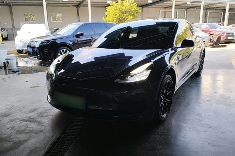 Tesla Model 3 2020 car image #2