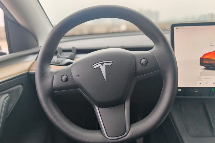 Tesla Model Y 2021 immagine di auto #13