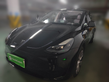 Tesla Model Y 2022 Tesla Model Y 2022 car image
