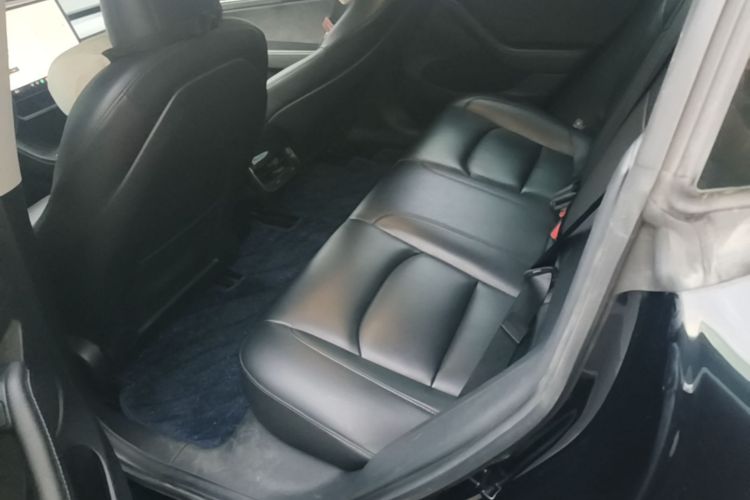 Tesla Model 3 2021 car image #13