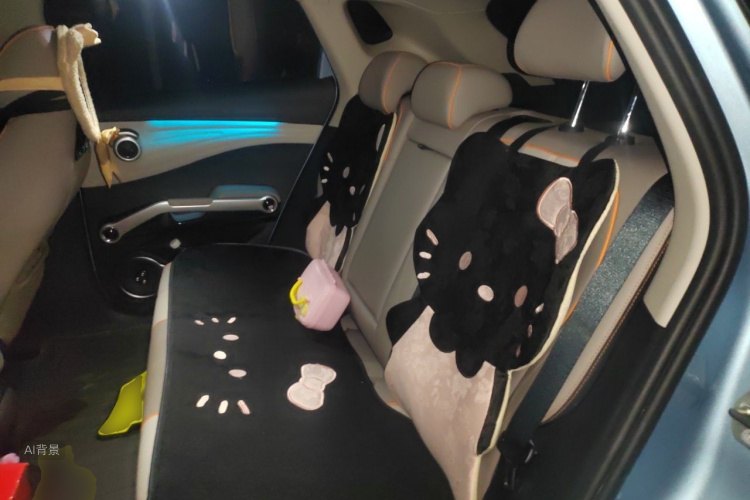 BYD Yuan Plus 2023 car image #19