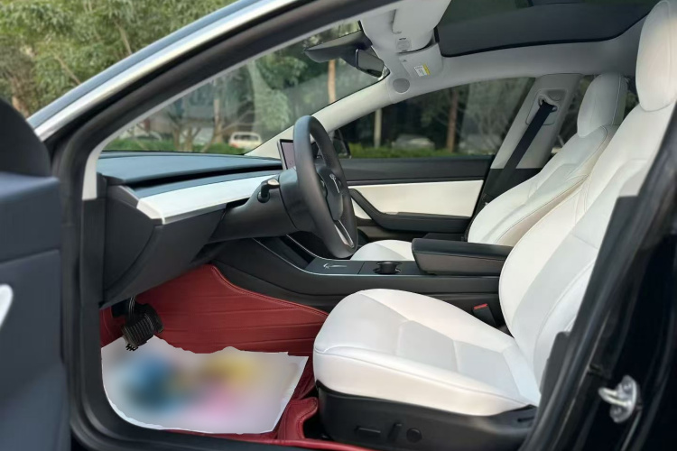 Tesla Model 3 2020 #15 Tesla Model 3 2020 car image #15