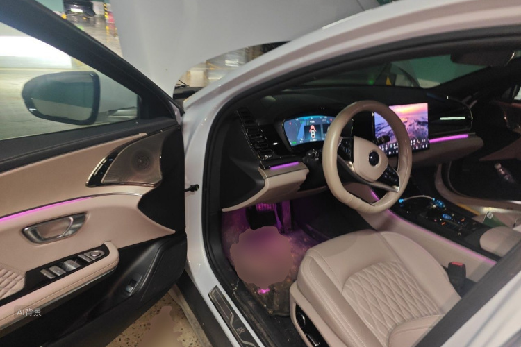 BYD Han 2024 car image #18