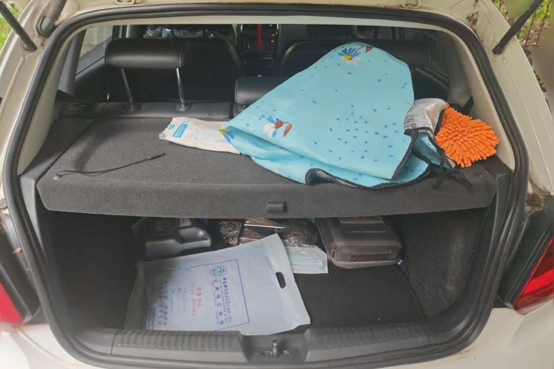 Volkswagen Polo 2014 car image #8