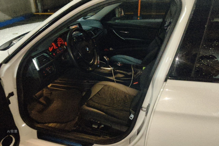 BMW 3 Series 2017 #17 BMW 3 Series 2017 car image #17